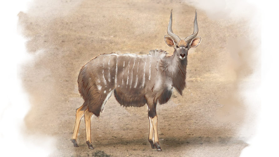 Nyala